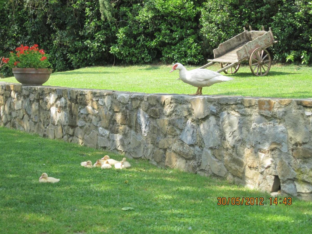 Agriturismo Conca Verde Scandicci Luaran gambar